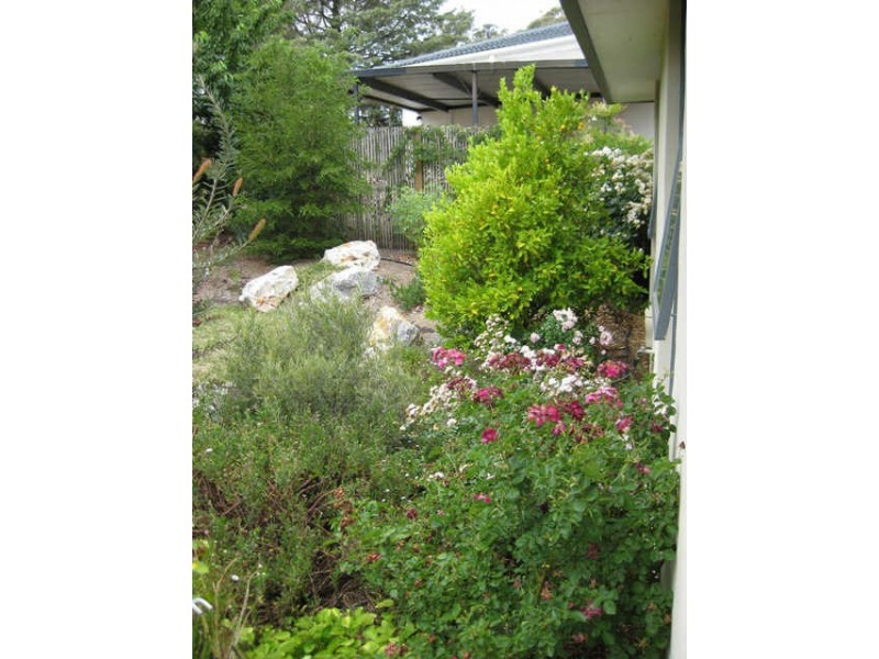 31 Ainsworth Street, Mawson ACT 2607