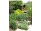 31 Ainsworth Street, Mawson ACT 2607