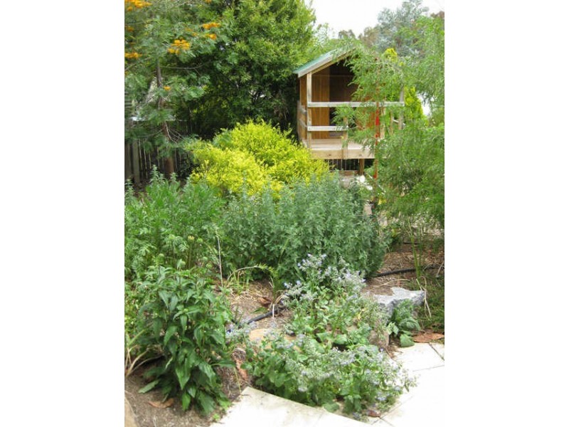 31 Ainsworth Street, Mawson ACT 2607