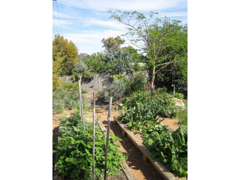 31 Ainsworth Street, Mawson ACT 2607