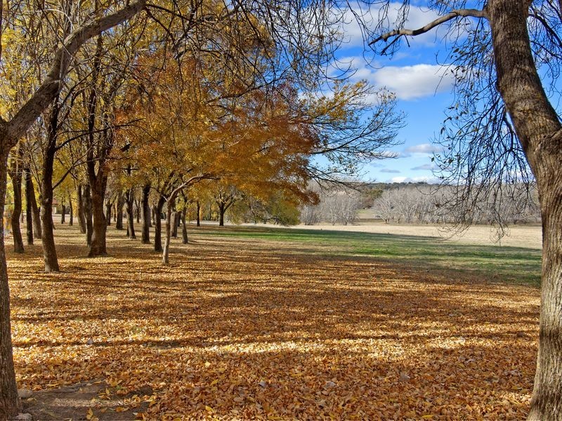 44 Holman Street, Curtin ACT 2605