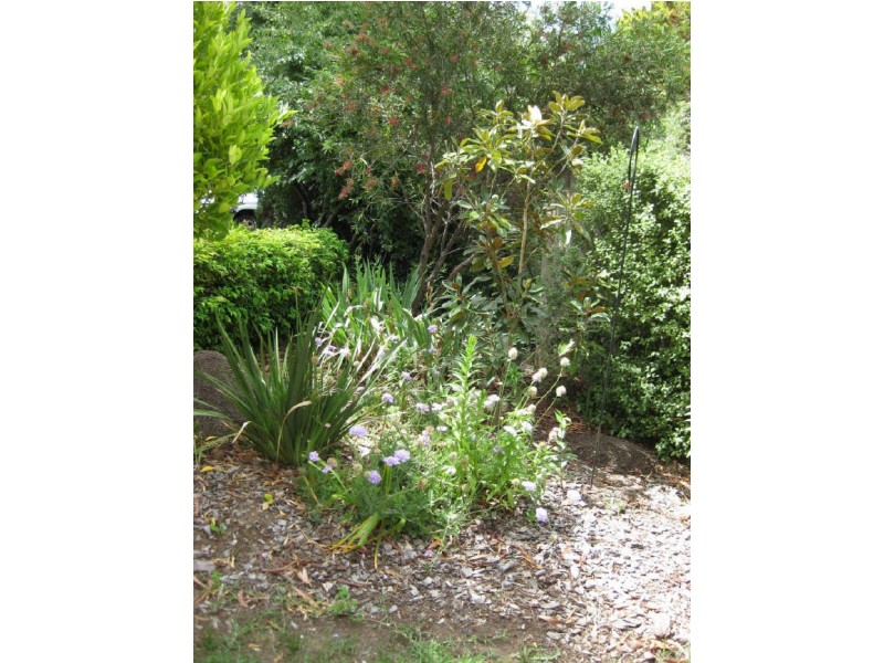 11 Mosman Place, Narrabundah ACT 2604