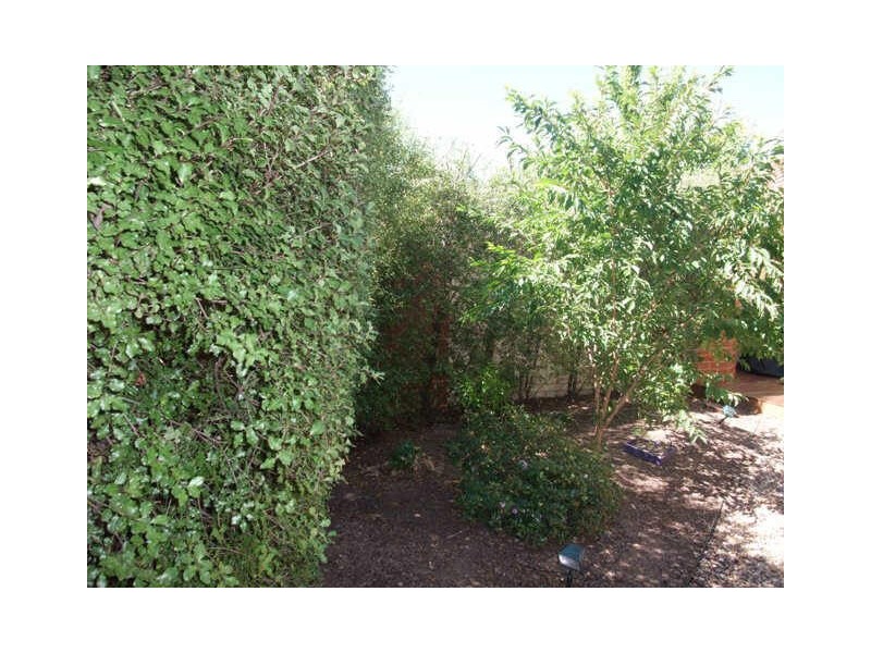 10A Frome Street, Narrabundah ACT 2604