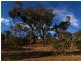 340 Royalla Drive, Royalla NSW 2620