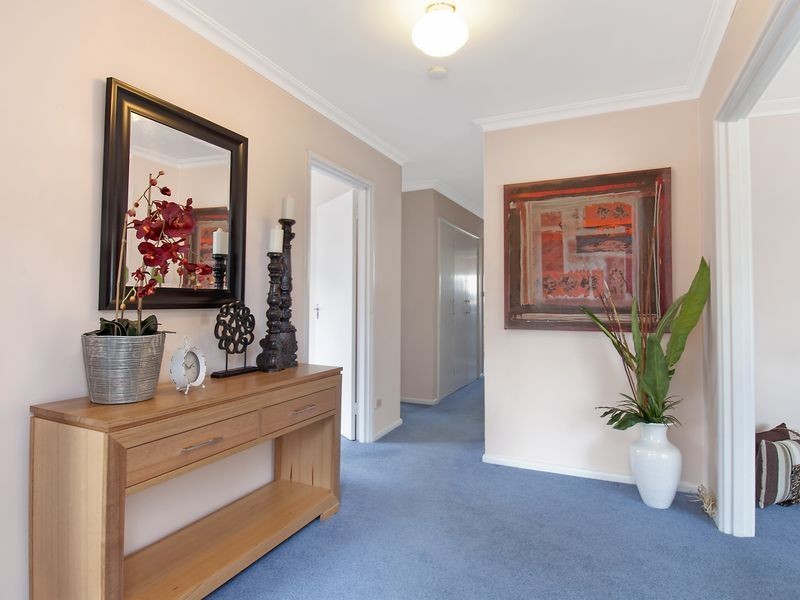 58 McCulloch Street, Curtin ACT 2605