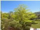 53 Darling Street, Barton ACT 2600