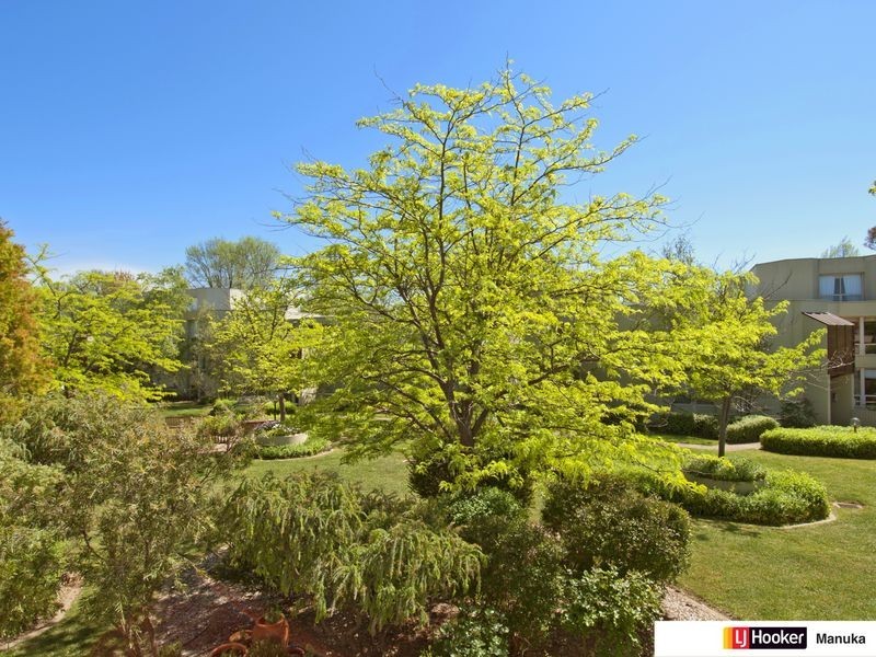53 Darling Street, Barton ACT 2600
