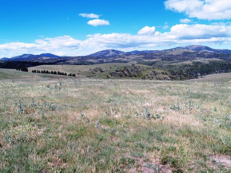 1225 Smiths Road, Booroomba ACT 2620