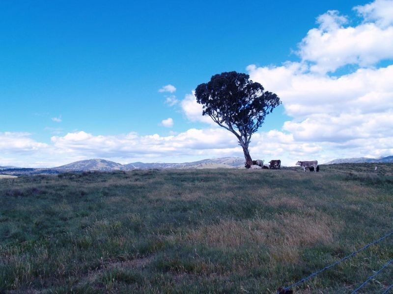 1225 Smiths Road, Booroomba ACT 2620