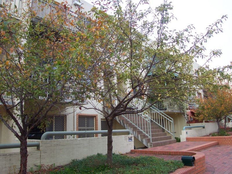 16 Bootle Place, Phillip ACT 2606