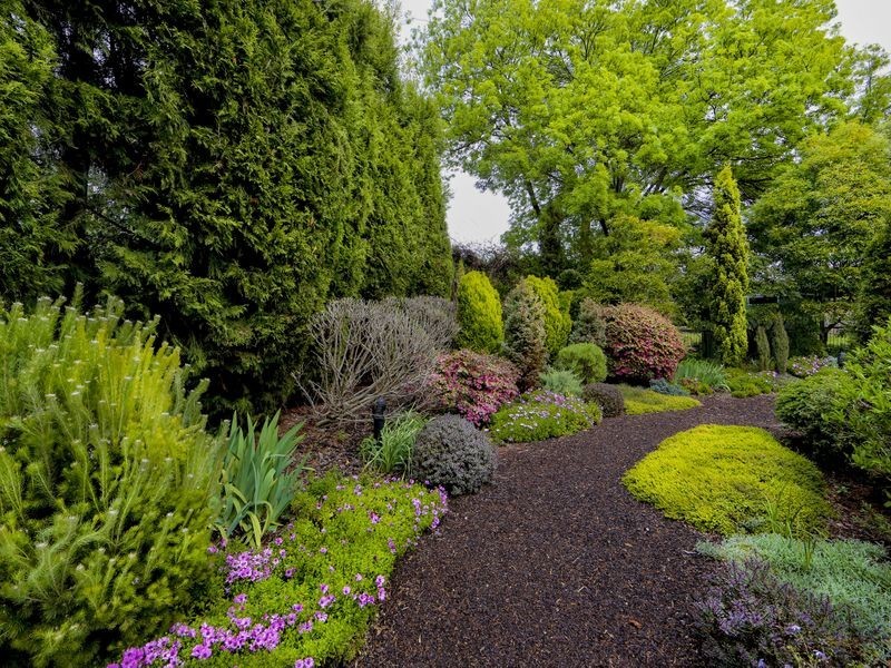 6 Tennyson Crescent, Forrest ACT 2603