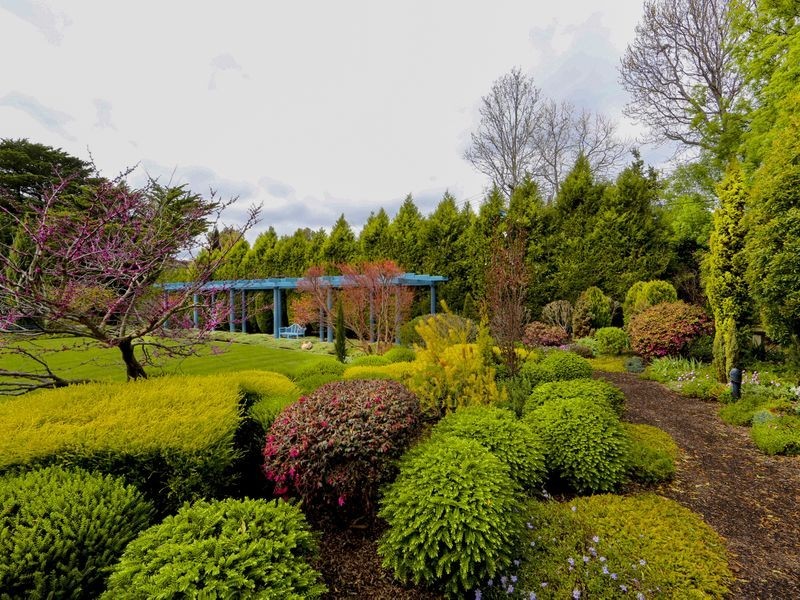 6 Tennyson Crescent, Forrest ACT 2603