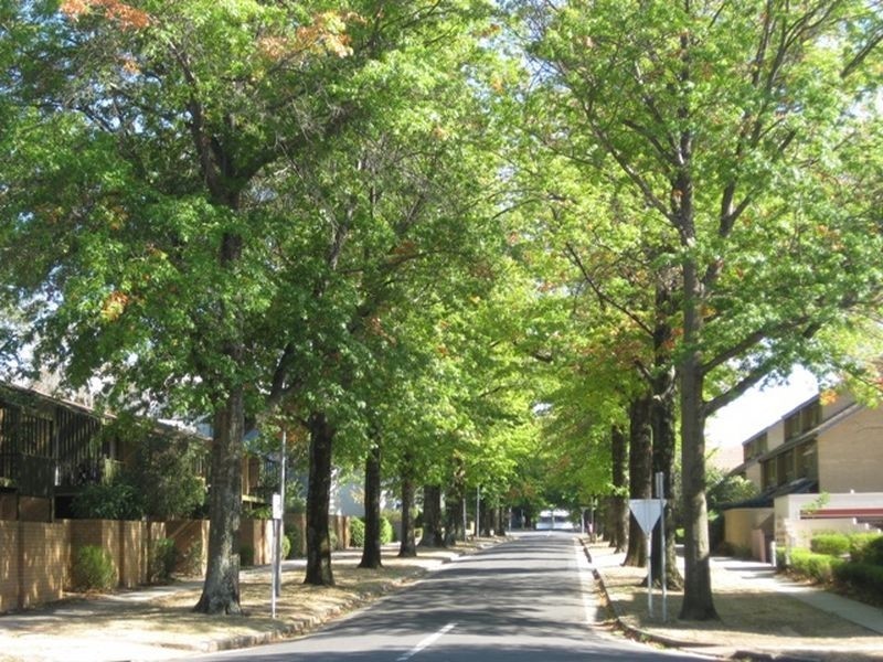 10/19 Howitt Street Entrance Via Daw, Kingston ACT 2604