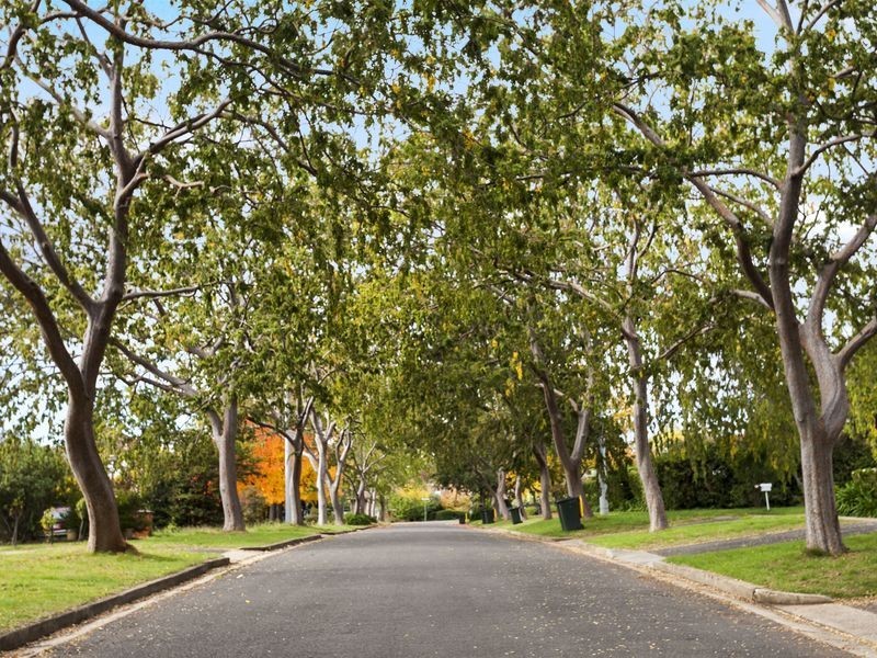 15 Carrington Street, Deakin ACT 2600