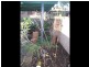 82 Barnet Close, Swinger Hill ACT 2606