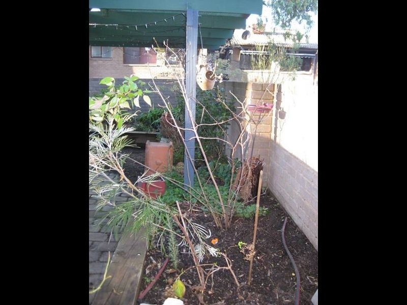 82 Barnet Close, Swinger Hill ACT 2606