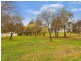 5 Fallins Place, Monash ACT 2904
