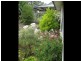 31 Ainsworth Street, Mawson ACT 2607