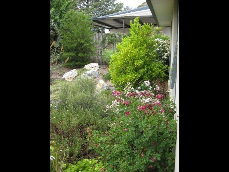 31 Ainsworth Street, Mawson ACT 2607