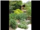 31 Ainsworth Street, Mawson ACT 2607
