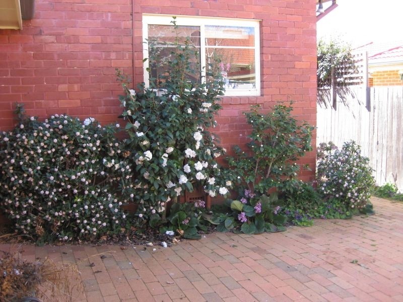 23 McKinlay Street, Narrabundah ACT 2604