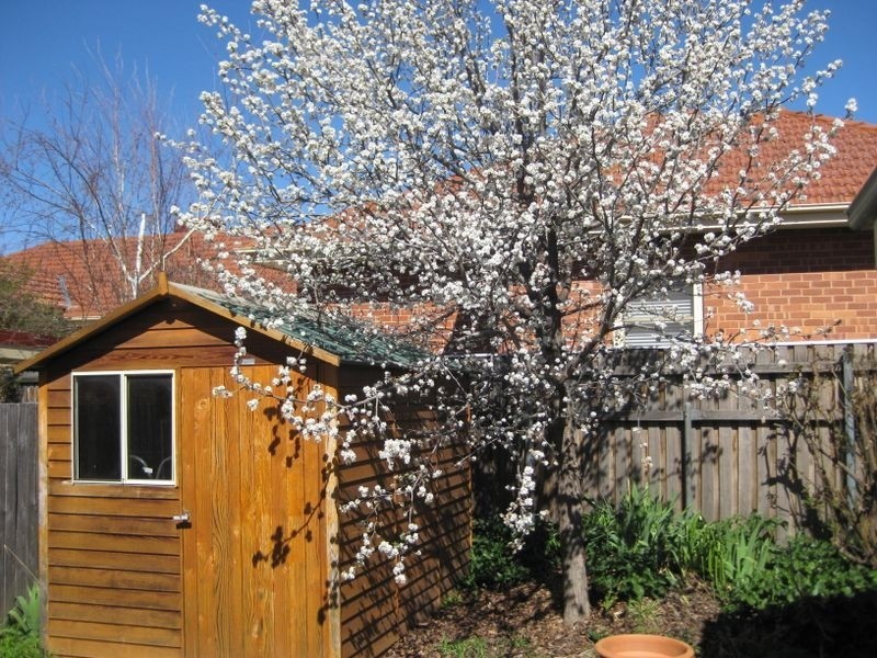 23 McKinlay Street, Narrabundah ACT 2604