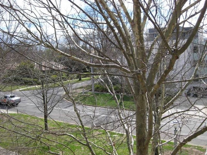 19/30 Cunningham Street, Kingston ACT 2604