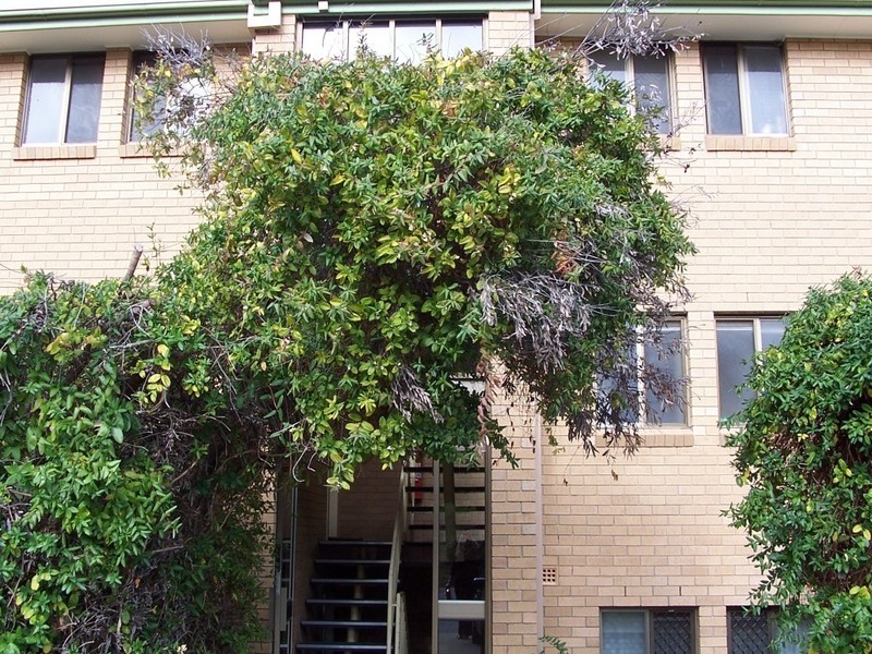 7/2 Wilkins Street, Mawson ACT 2607