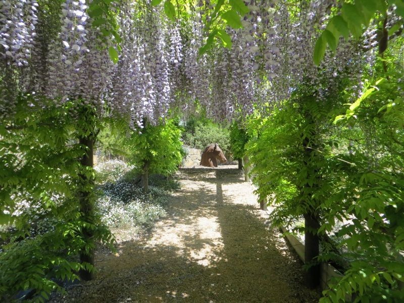 9 Ordell Street, Chapman ACT 2611