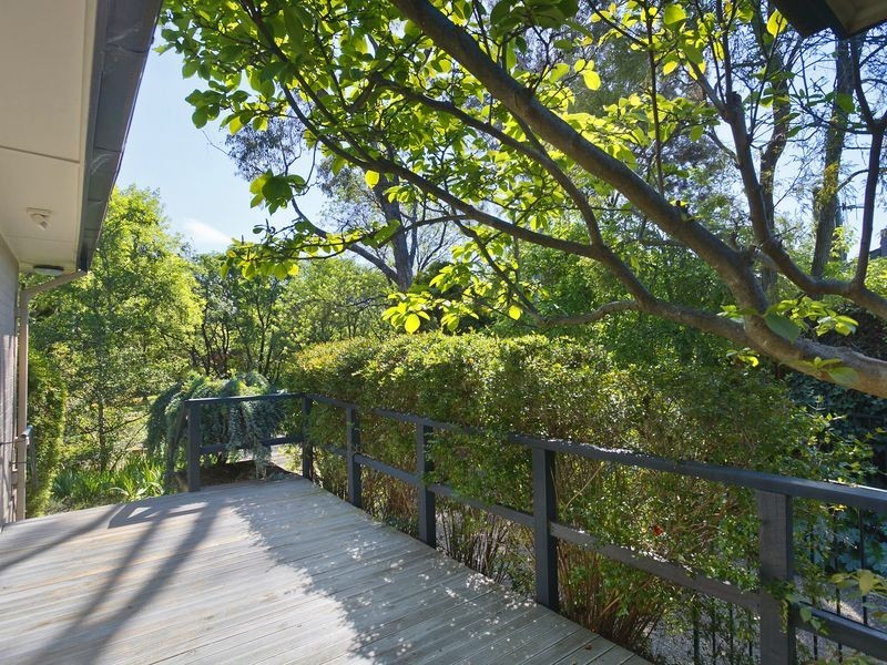 19 Macgillivray Street, Yarralumla ACT 2600