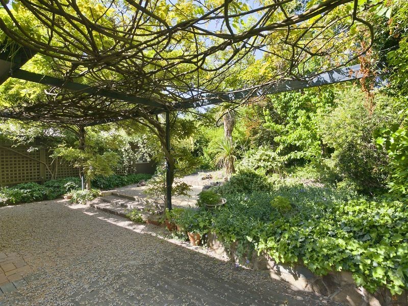 19 Macgillivray Street, Yarralumla ACT 2600