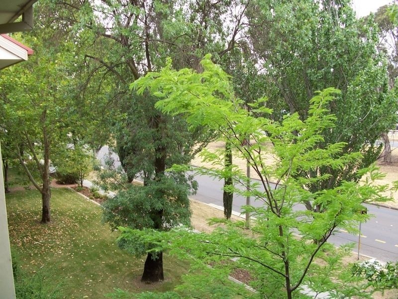 105/72 Wentworth Avenue, Kingston ACT 2604