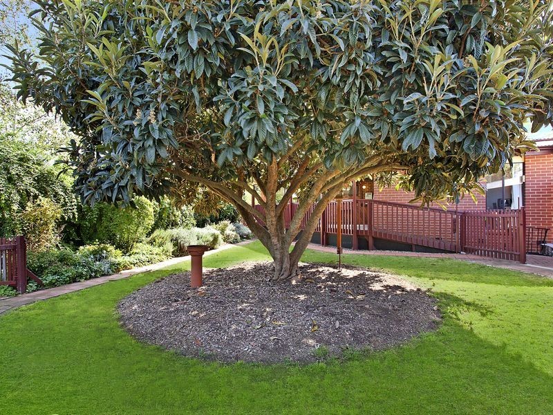 7 Gardiner Street, Downer ACT 2602