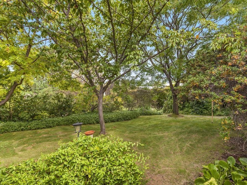 23 Tasmania Circle, Forrest ACT 2603