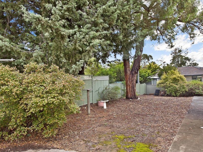 11 McAlpine Place, Farrer ACT 2607
