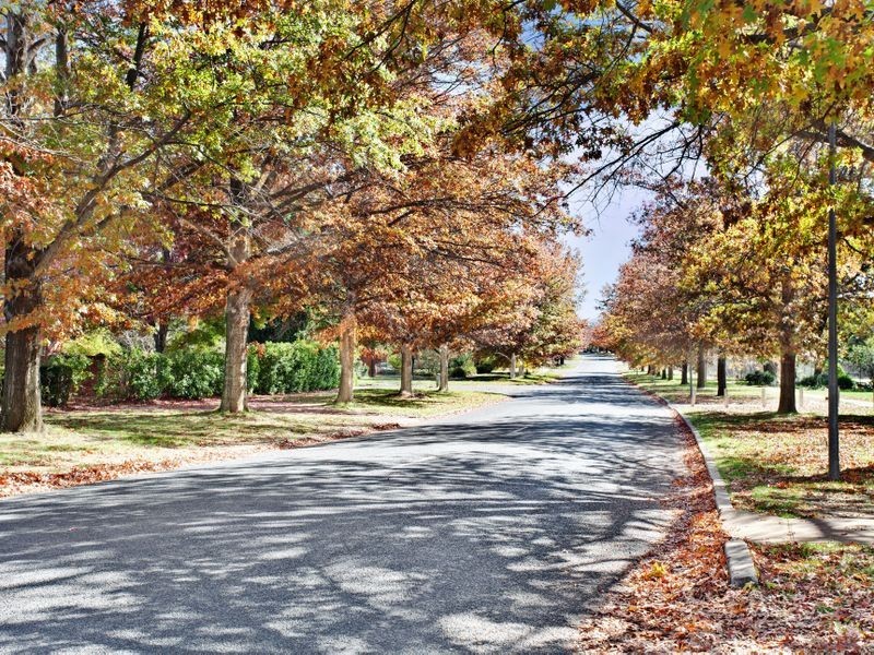 5 Anembo Street, Narrabundah ACT 2604