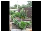 13 Mayne Street, Chifley ACT 2606