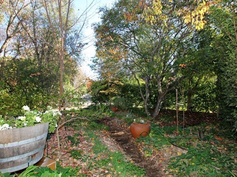 20 Bayley Street, Narrabundah ACT 2604