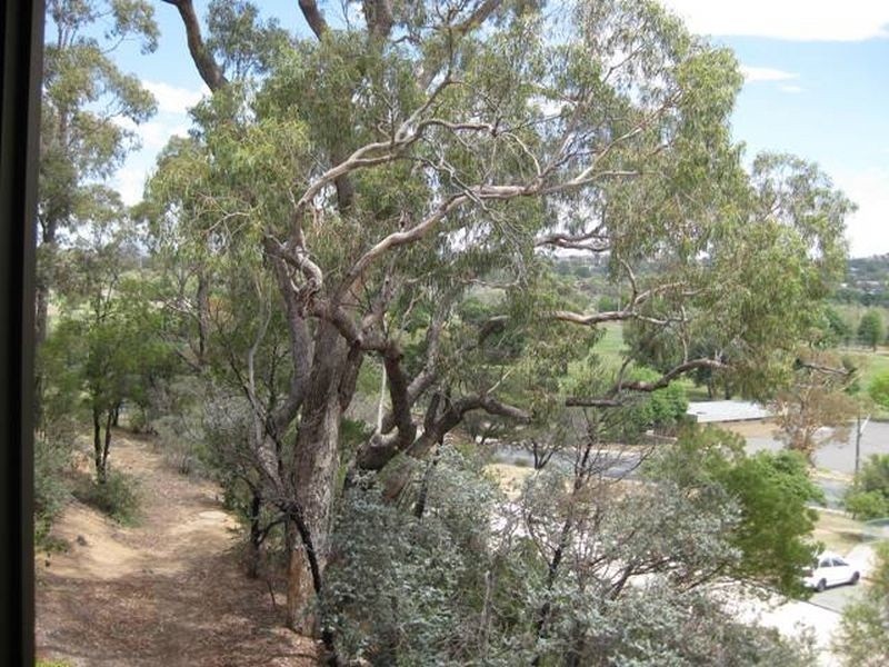 28/10 Wilkins Street, Mawson ACT 2607