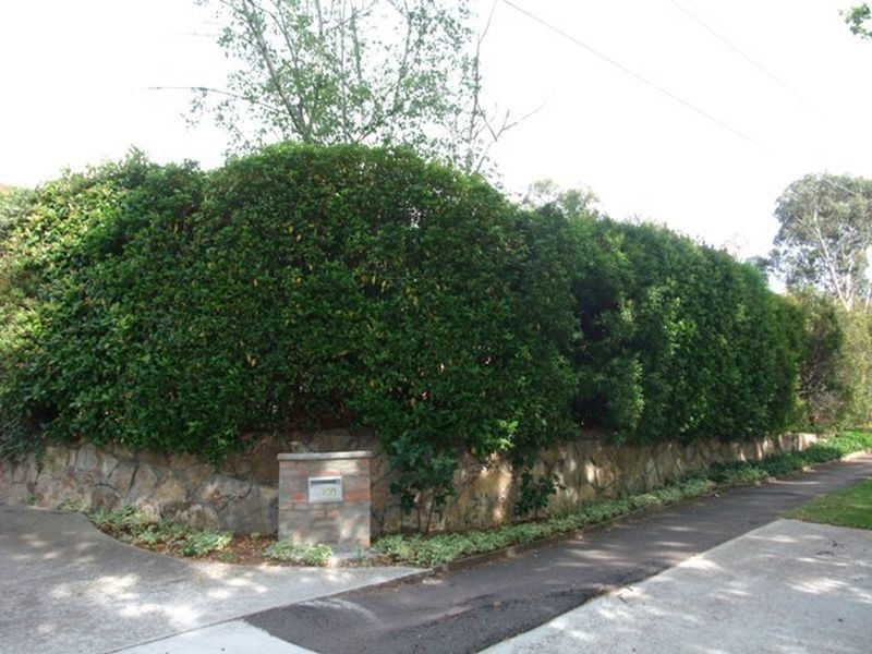 100 Kitchener Street, Garran ACT 2605