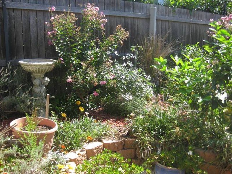 24b Dalrymple Street, Red Hill ACT 2603