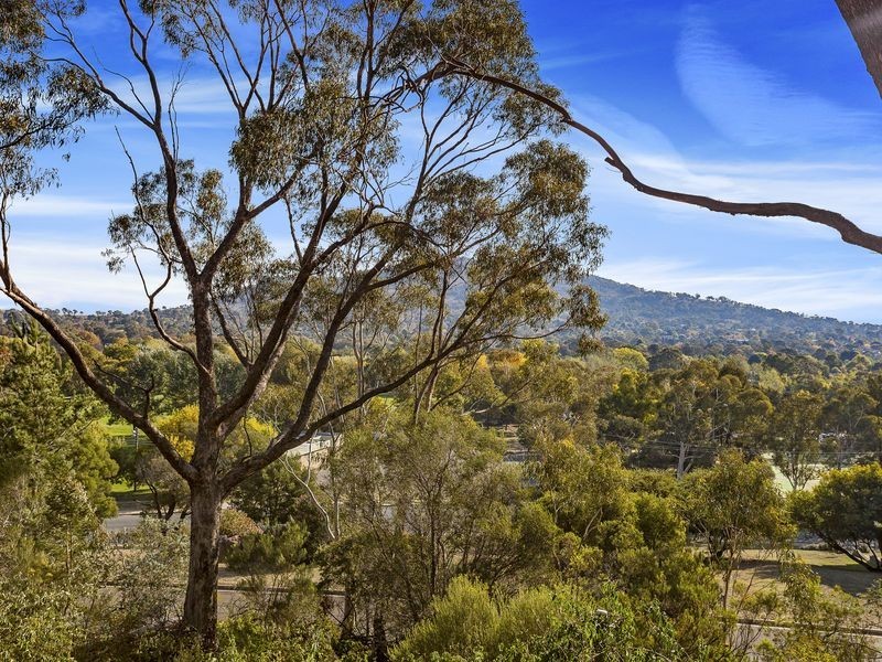 2/4 Heard Street, Mawson ACT 2607