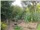 1 Tanner Place, Kambah ACT 2902