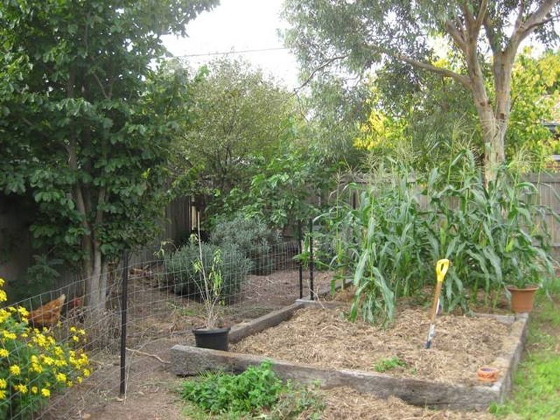 1 Tanner Place, Kambah ACT 2902