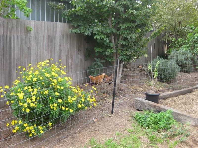 1 Tanner Place, Kambah ACT 2902