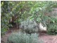 1 Tanner Place, Kambah ACT 2902