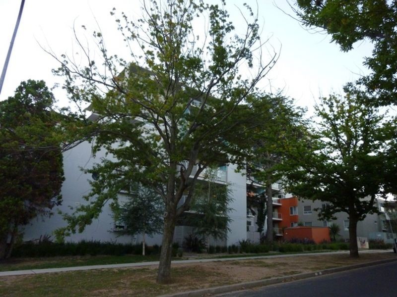 503/17 Dooring Street, Braddon ACT 2612