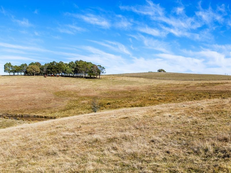 5990 Captains Flat Road, Braidwood NSW 2622