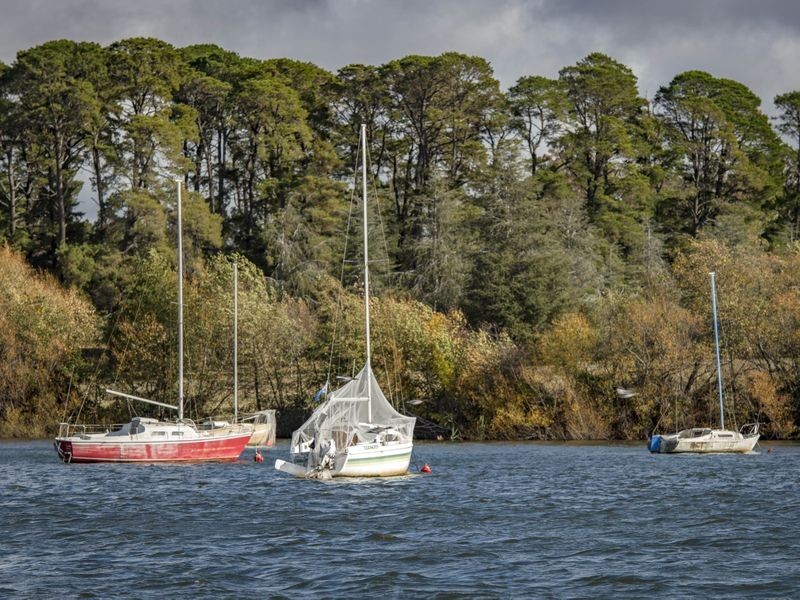 16 Brown Street, Yarralumla ACT 2600