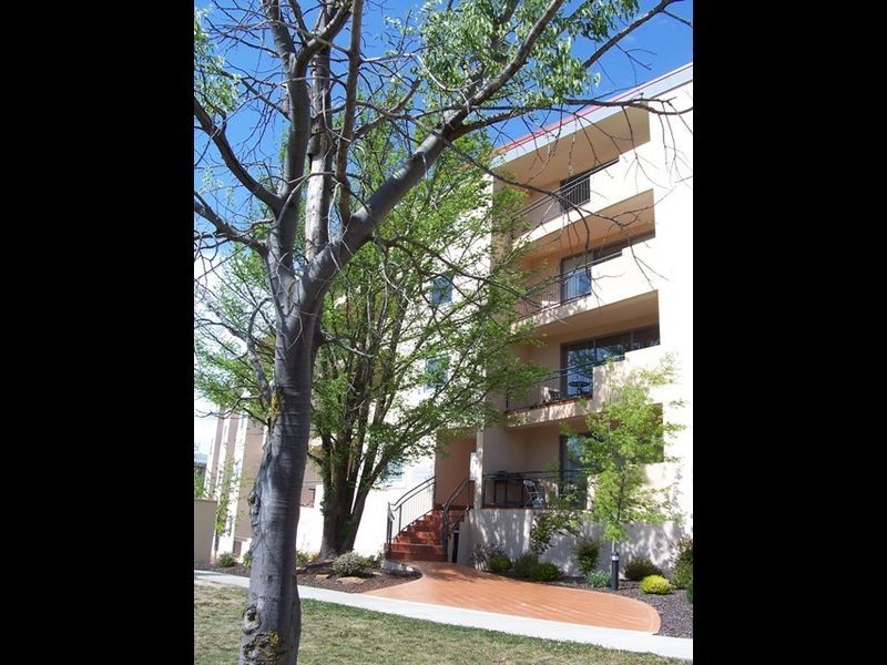 311/107 Canberra Avenue, Griffith ACT 2603